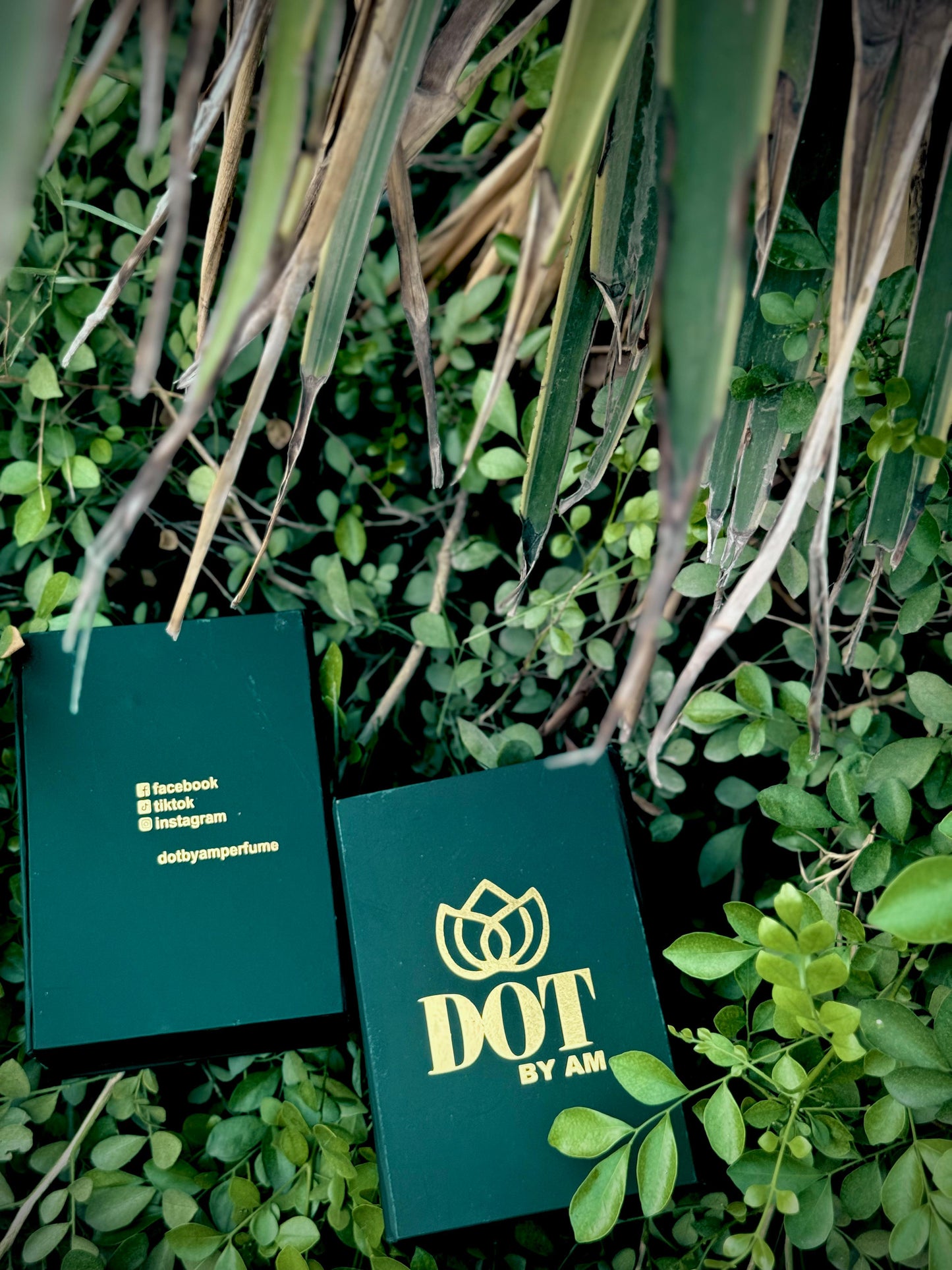 Gussi Flora Perfume (Woman) DotByAm